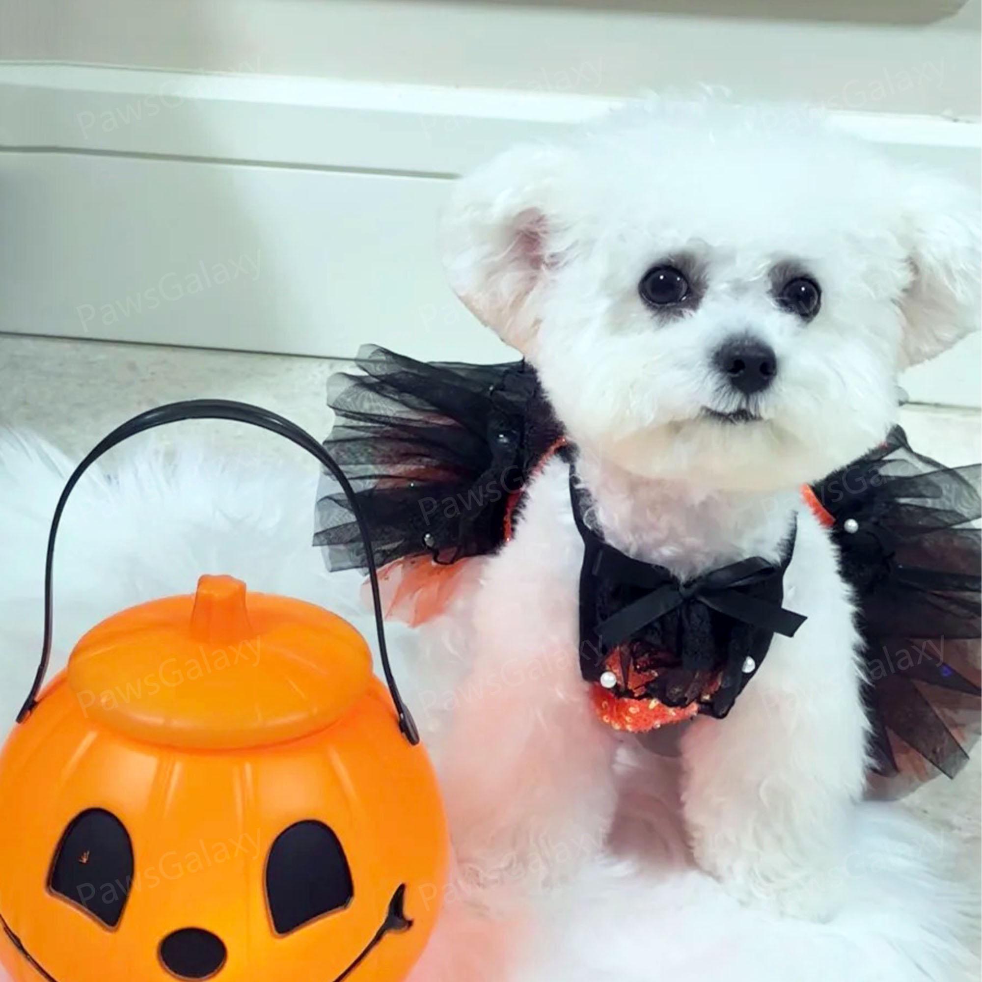 Vestido De Halloween Para Perro/gato - Tutú De Tul Morado Con Corpiño De Mezclilla Y Lazo Naranja