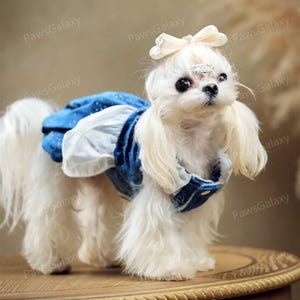 Customizable Halloween Dog Costume Inspired from Cinderella, Blue Starry Tutu Dress for Dogs and Cats, Pets Princess Dress Birthday Gift