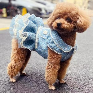 Customizable Tweed Dog Dress, Vintage Blue Tweed Dress for Large Dogs and Cats, Fall Winter Pets Clothes, Puppy Birthday Princess Costume