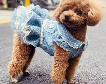 Vestido de tweed personalizable para perro, vestido vintage de tweed azul para perros y gatos grandes, ropa para mascotas de otoño e invierno, disfraz de princesa para cumpleaños de cachorro.