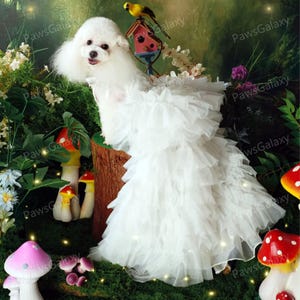 Hochzeit Hundekleid Weiß, Blumenmädchen Brautkleid Abnehmbarer Langer Zug Kleid für Katzen und Große Hunde, Geburtstag Hunde Outfit Haustier Kleidung