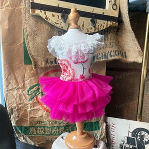 Anpassbares Hochzeitshundekleid, Blumen gesticktes Fuscia-Tüllkleid für große Hunde und Katzen, Sommer-Haustier-Kleidung Hundegeburtstags-Partykleid