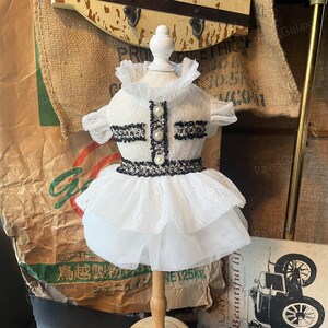Anpassbares Hochzeitskleid für Hunde, Brautjungfern Kleid Weiß Tüllkleid für große Hunde und Katzen, Haustierkleidung Hundegeburtstagskleid