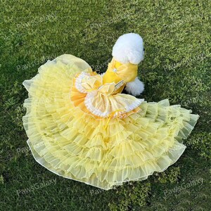 Halloween Dog Costume Princess Belle Inspired, Yellow Tulle Dress Detachable Long Train for Cats & Large Dogs, Birthday Outfit Pets Clothes