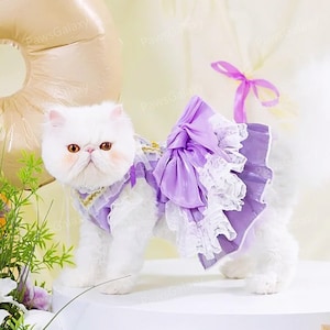 cat prom dress Formal Dress for Sphynx