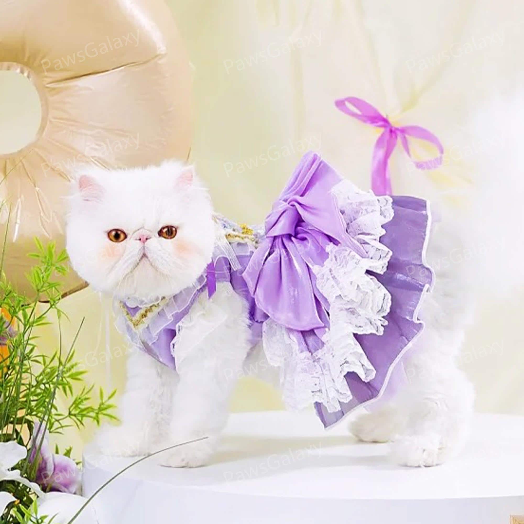 Cat Wedding Dress - Etsy Cat Wedding Dress - Etsy