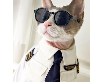 Halloween Pilot Cats Costume, White Aviator-Style Bandana, Airline Captain Pets Cosplay Costume, Custom Size
