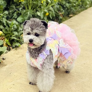 Customizable Rainbow Lace Tulle Dress for Dogs and Cats, Birthday Dog Dress, Dogs Princess Costume, Summer Pets Clothes Dog Wedding Dress