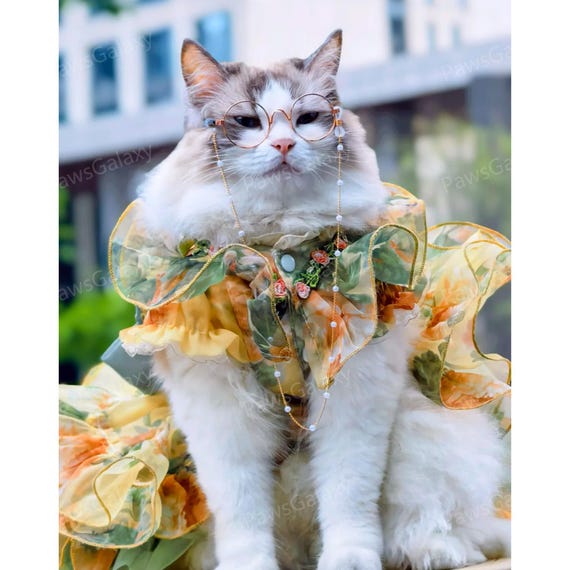 cat birthday dress Wedding with Detachable Long Train, Pastel Floral Fairy Gown for Persian/Sphynx/Ragdoll Cat, Custom Size Cat Outfit Color:Pink-Blue наряд на Хэллоуин для DROP_MAY26-D1 June Bridals Sexy Sleeveless