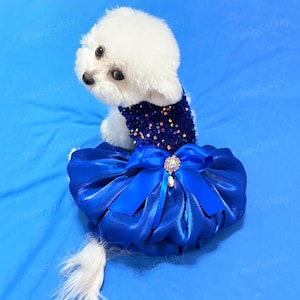 Anpassbares Hochzeits-Hundekleid, glitzerndes blaues Tüllkleid für große Hunde und Katzen, Welpen-Geburtstags-Partykleid, Sommer-Haustier-Kleidung