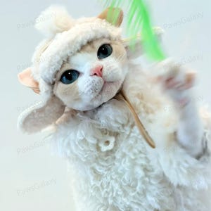 May include: A cat wearing a fluffy white lamb costume with a matching hat and ear flaps. The cat has blue eyes and a pink nose. It is reaching out with a paw towards a green feather toy.