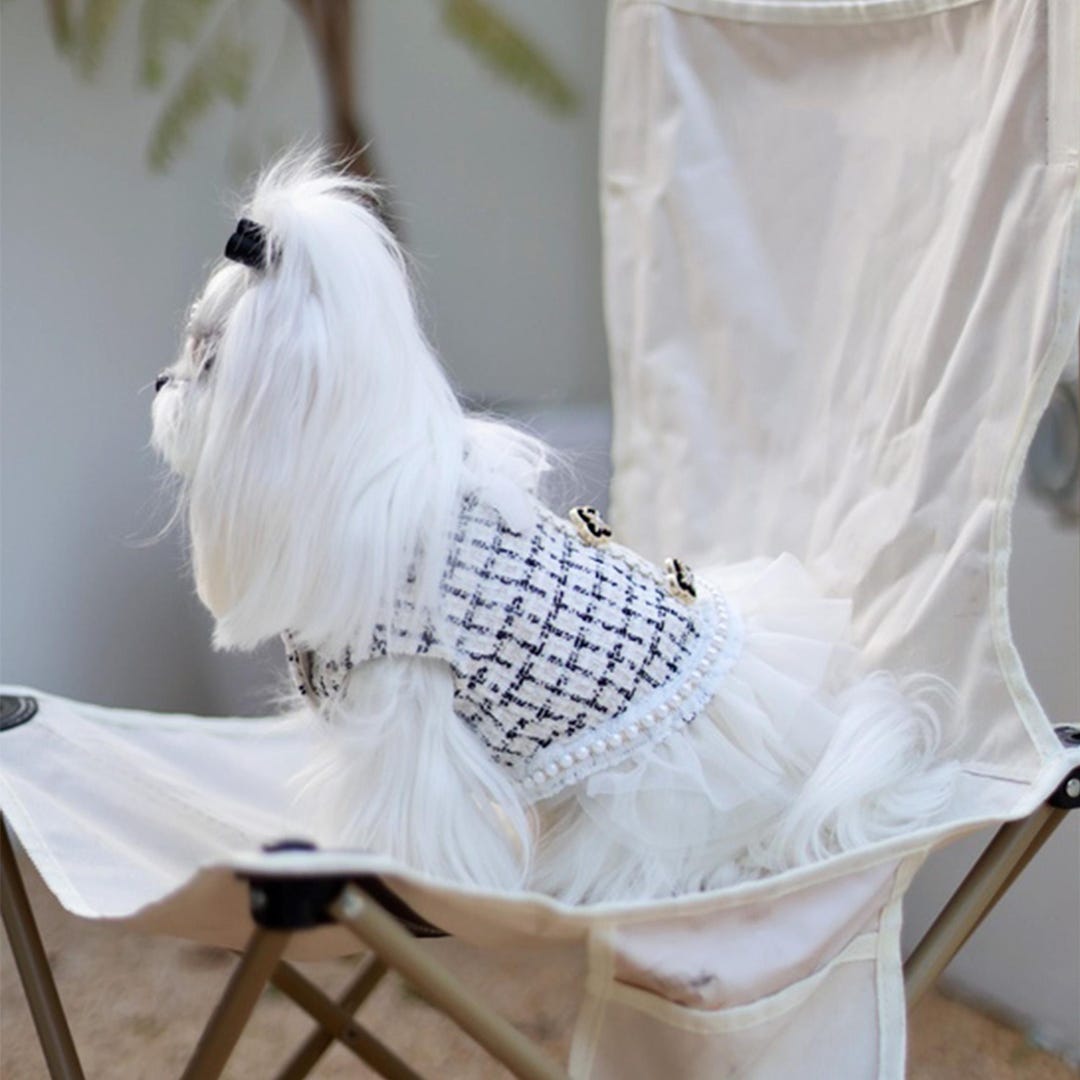 THICK DOG - White & Black Doggy Dress main image 1