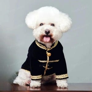 Customizable Wedding Dog Prince Costume Halloween, Black Velveteen Coat for Large Dogs, Fall Winter Jacket for Dogs and Cats, Pets Clothes