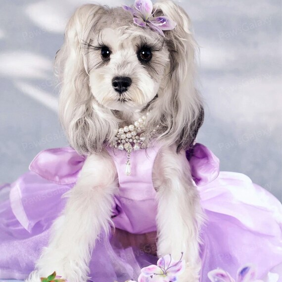 Lavender Dog Wedding Dress With Long Train, Luxury Beaded Gown Pet