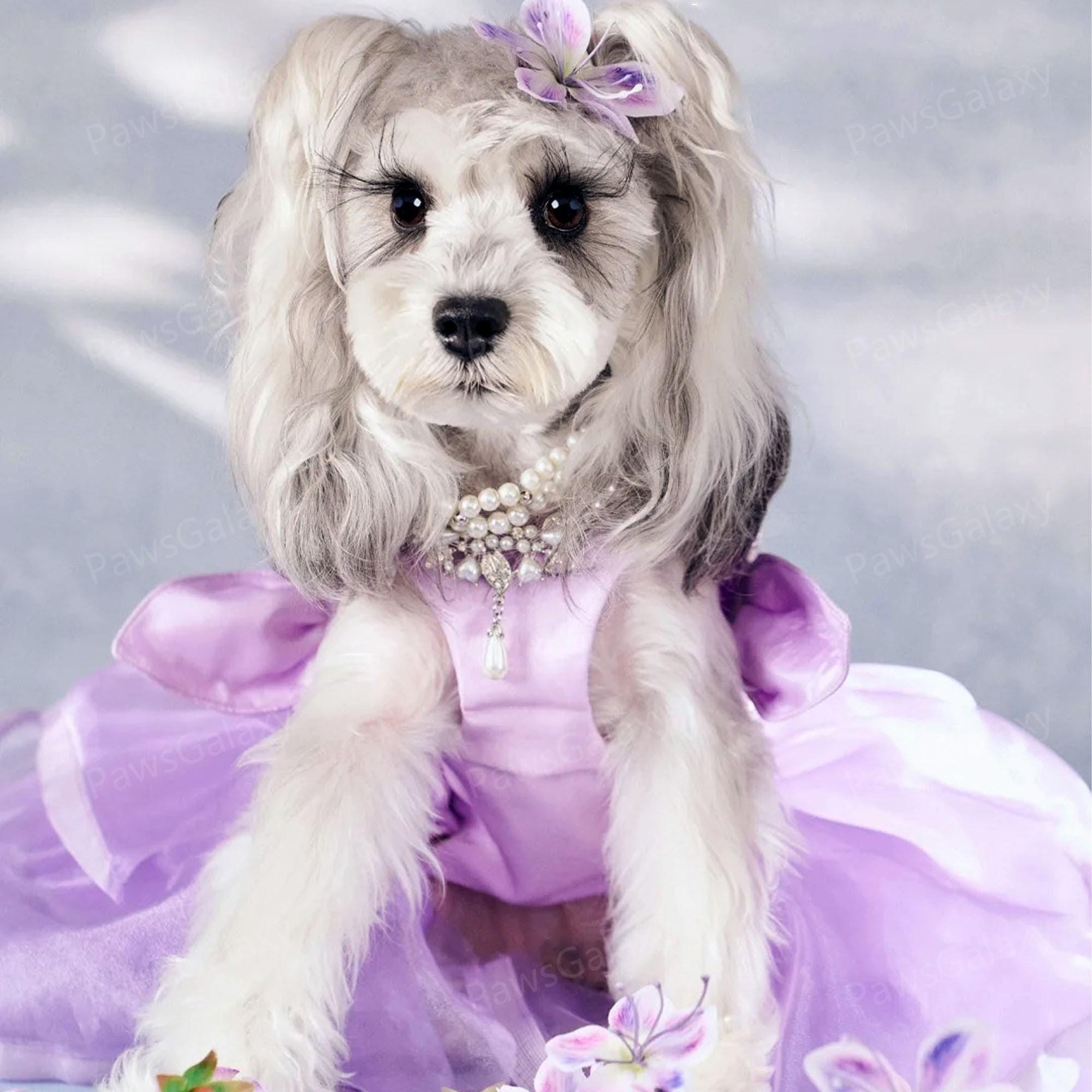 Lavender Dog Wedding Dress With Long Train, Luxury Beaded Gown Pet
