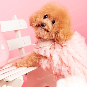 Anpassbares Hochzeitshundekleid, blassrosa Tüllkleid für große Hunde und Katzen, Welpen-Geburtstags-Partykleid, Sommerhaustier-Kleidung, Blumenkleid