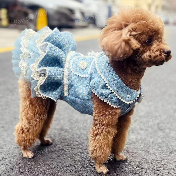 green emerald velvet dress Autumn Sequin Leather Dog Dress for Small to Medium Breeds – Cultured Canine  Pawtique main image 1
