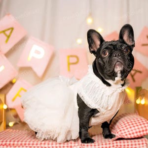 Customizable Dog Wedding Dress, Fancy White Tulle Dress for Large Dogs and Cats, Bridesmaid Dog Costume, Summer Pets Clothes Princess Dress