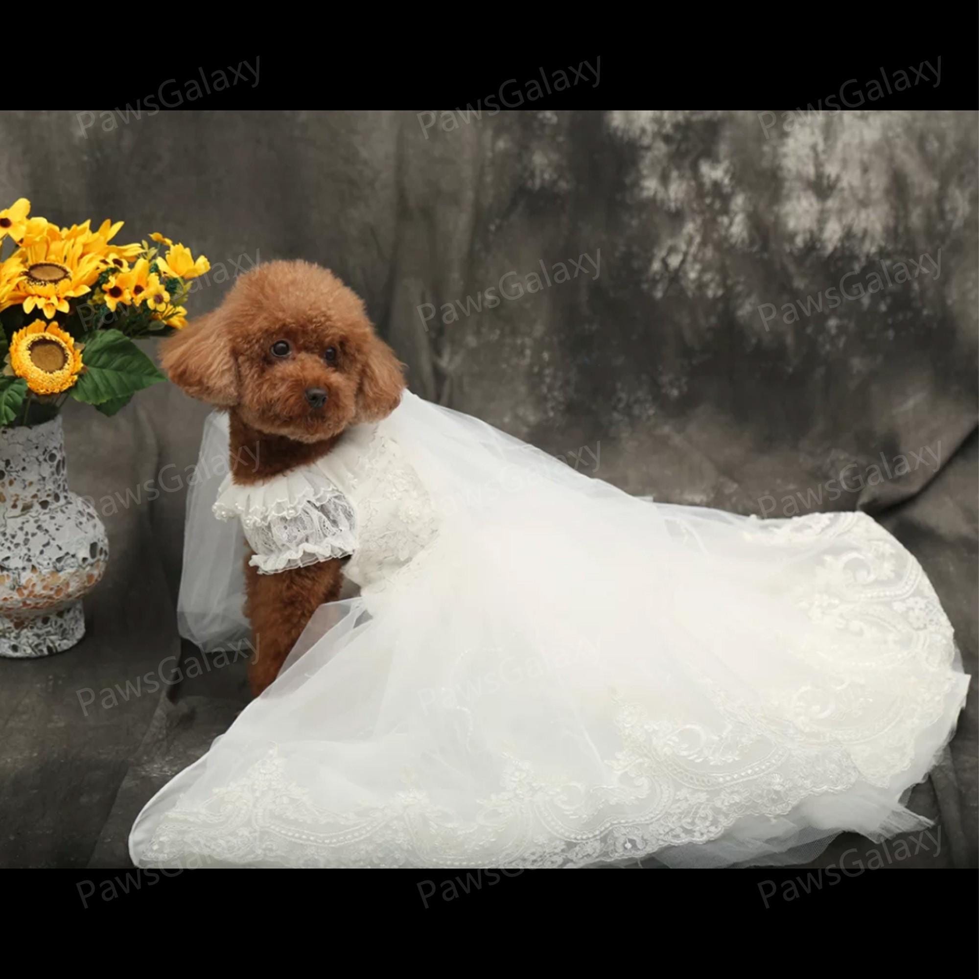 Customizable White Flower Lace Tulle Long Train Gown for Dogs and Cats, Birthday Dog Dress, Dog Wedding Dress, Special Gift Pets Clothes