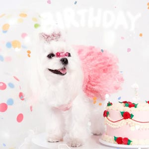 Anpassbares Hochzeitshundekleid, rosa Rosen-Tüllkleid für große Hunde und Katzen, Welpen-Geburtstags-Partykleid, Sommerhaustier-Kleidung, Blumenkleid