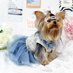 Customizable Wedding Dog Dress, Airy Blue Tulle Dress for Large Dogs and Cats, Puppy Birthday Party Dress, Summer Pets Clothes Flower Dress