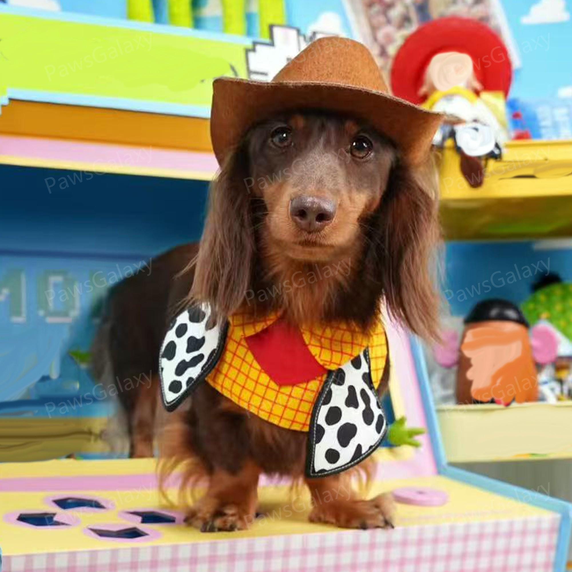 Woody Dog Costume UK