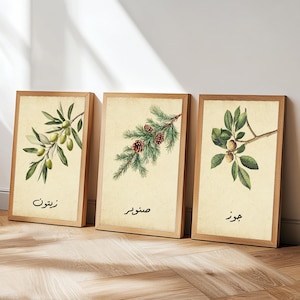 Lebanese Botanical Triptych Art Print: Modern Arabic Kitchen Decor (Digital Download)