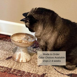 Stoneware raised cat bowl / Elevated Pet Feeder Dish for Cat Lovers / Made to Order ships 2-4 weeks
