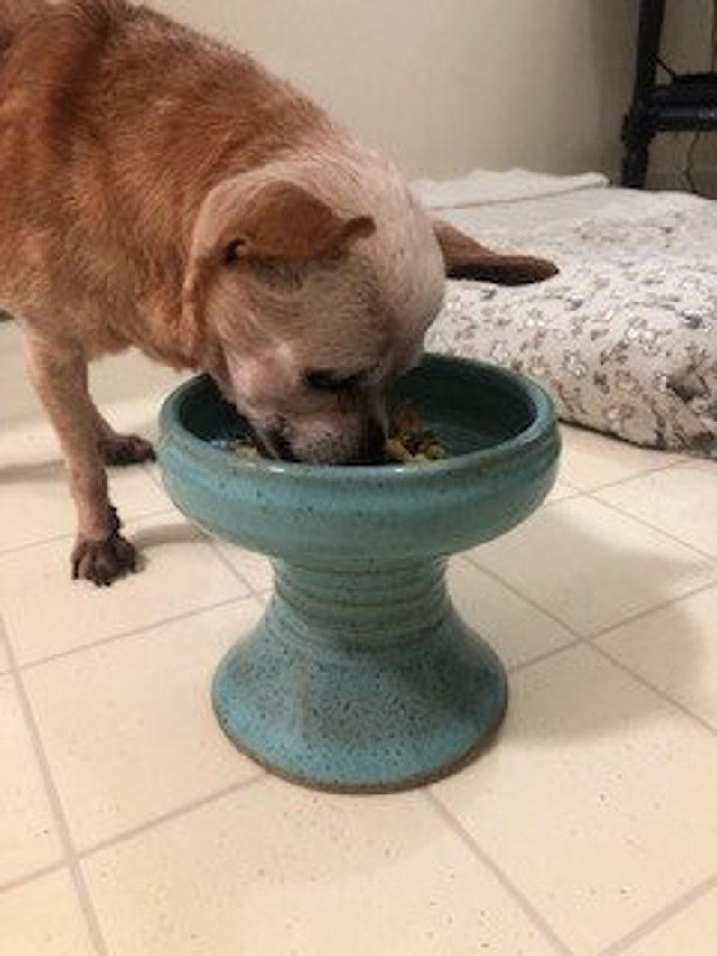 Stoneware raised cat bowl / Elevated Pet Feeder Dish for Cat Lovers / Made to Order image 6