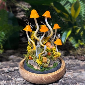 Puede incluir: Una escena de bosque en miniatura con setas naranjas, un cristal, un caracol y un peque&ntilde;o gusano, todo en una base de madera.