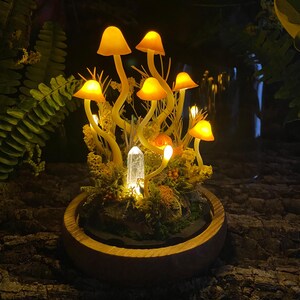 Puede incluir: Un terrario de setas luminosas con un cristal y musgo. Las setas est&aacute;n iluminadas desde el interior, proyectando un brillo c&aacute;lido. El terrario est&aacute; hecho de madera y vidrio.