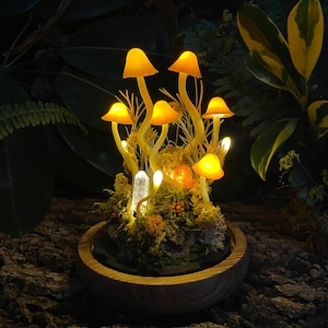 Puede incluir: Una escena de bosque en miniatura con setas amarillas brillantes y un cristal transparente en una base de madera. Las setas est&aacute;n dispuestas en un grupo y tienen un ambiente m&aacute;gico y de cuento de hadas.