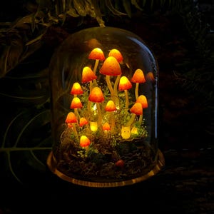 Könnte beinhalten: Eine Glaskuppel zeigt einen Miniatur-Leuchtpilzgarten. Die Pilze haben orangefarbene Kappen mit weißen Punkten und sind von innen beleuchtet, wodurch ein warmes Leuchten entsteht. Der Sockel ist goldfarben und der Hintergrund ist dunkel.