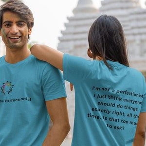 Enneagram Shirt, Witty Personality Quote Tee, Type 1 The Perfectionist, Self Discovery Tee, Sarcastic Shirt, Gift for Boyfriend, Girlfriend