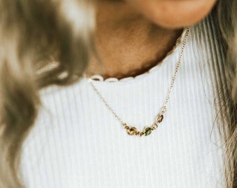 Family Birthstone Necklace, Mother's Day Necklace, Birthstone Gold Jewelry, Grandma Necklace, Birthstone Gifts, Birthstone Necklace For Moms