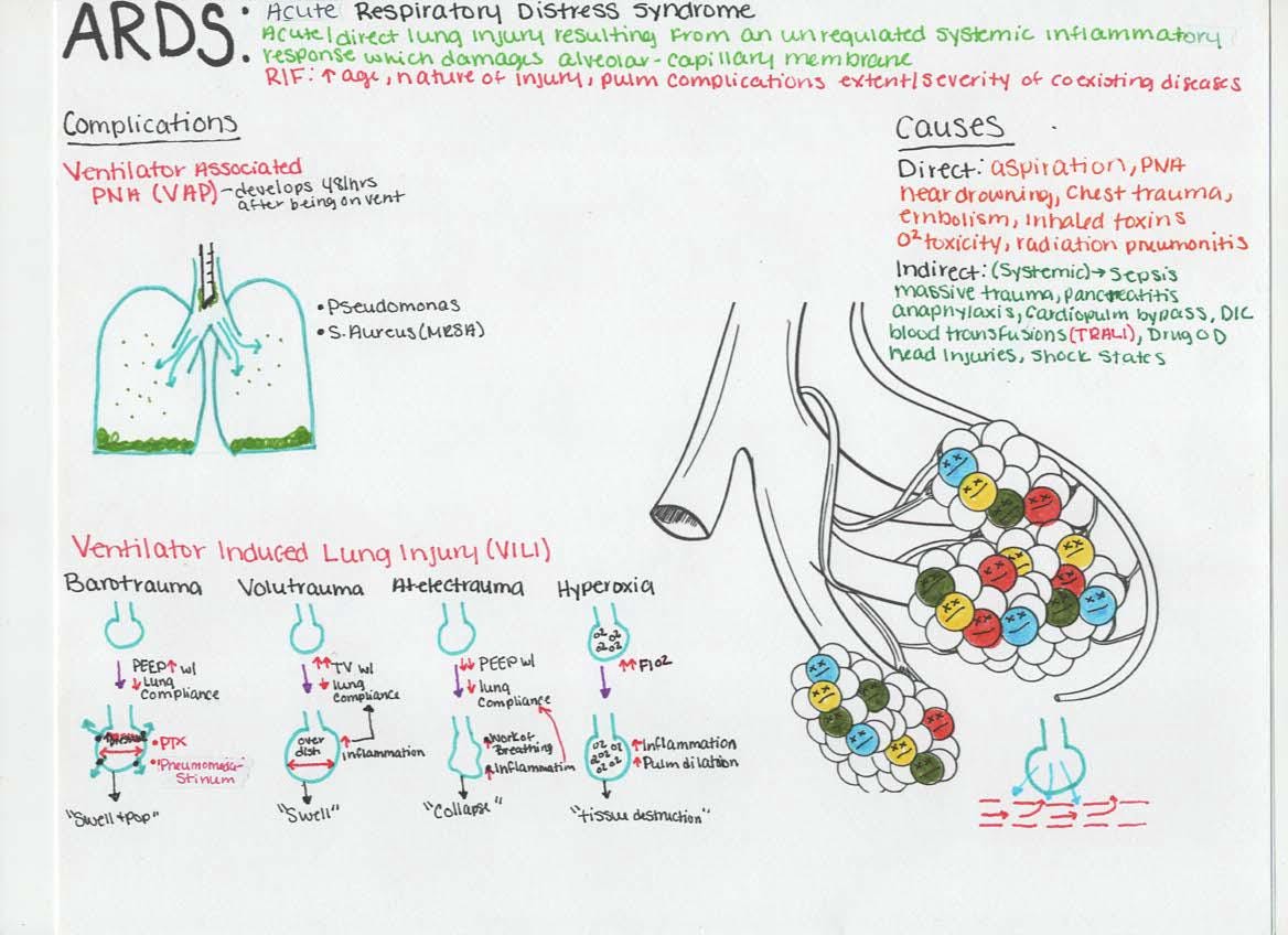 Respiratory Nursing Study Guide Bundle: COPD, Asthma, Pneumonia (PDF ...