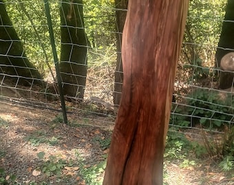 Large Piece Old Growth Redwood