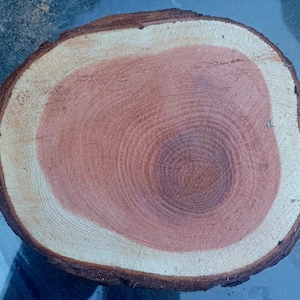 May include: A close-up of a wooden slice with a light brown outer ring and a reddish-brown center. The wood grain is visible in the center of the slice.