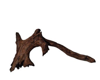 Old Growth Redwood Root