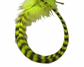 Könnte beinhalten: Ein grüner und schwarzer Federboa mit einer flauschigen Textur. Der Boa ist zu einem Kreis geformt.