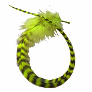 BRIGHT GREEN GRIZZLY Thick Long Feather Hair Extensions Plus 3 Free Crimp Beads, Up to 15&quot; Long Thick Wide Long Euro Grizzly Hair Feathers