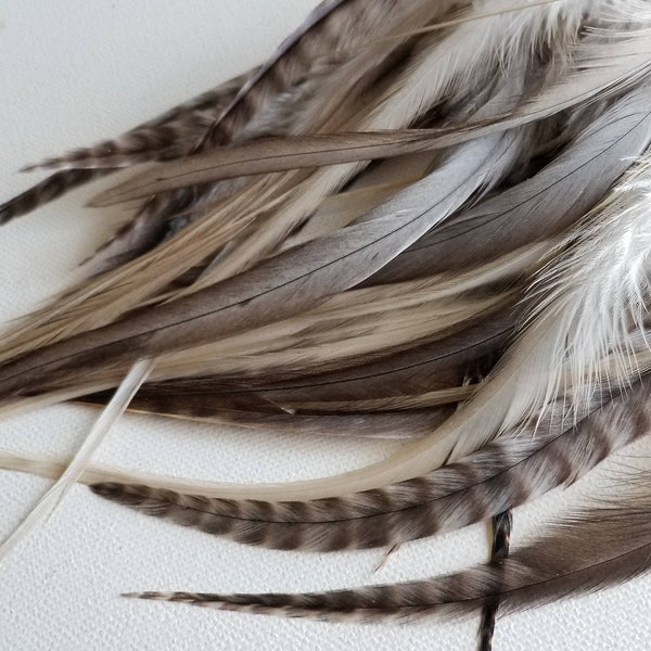 YUMMY SILVER Wide Feather Extensions PLUS 5 Free Crimp Beads - Natural Silver Platinum Gray Greige Salon Mix Boho Hair Feather Extensions