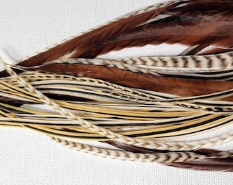 BRUNETTE HIGHLIGHTS Feather Hair Extensions Mix of Golden, Ivory and Brown + 5 Free Crimp Beads, Thick and Thin Feather Combo Packs