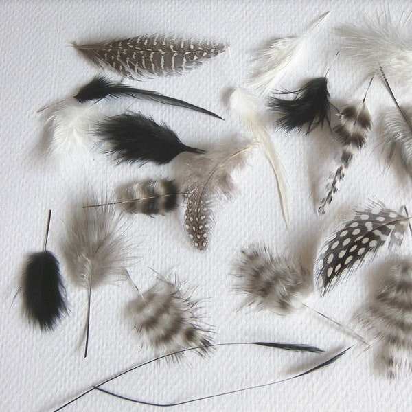 MINX MIX Natural Grizzly Marabou & Guinea Feathers SMALL Tiny Mini Craft Millinery Jewelry Floral Feathers Black White Cream Gray Bits