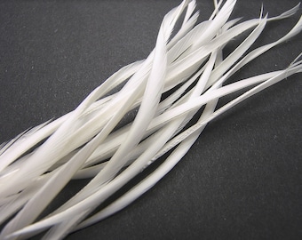 PURE WHITE CURLED Feather Biot Swords Select Your Quantity