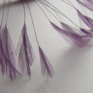 Rooster Eyelash Feathers, PICK YOUR COLOR and Quantity Small Stripped Coque Feathers Millinery Costume Fursuit Bridal Floral Accessories Lavender