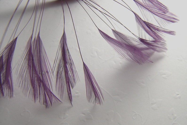 Rooster Eyelash Feathers, PICK YOUR COLOR and Quantity Small Stripped Coque Feathers Millinery Costume Fursuit Bridal Floral Accessories Lavender