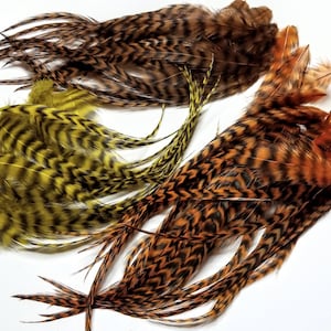 May include: A set of three pheasant tail feathers with black and brown markings. The feathers are in shades of brown, orange, and yellow.