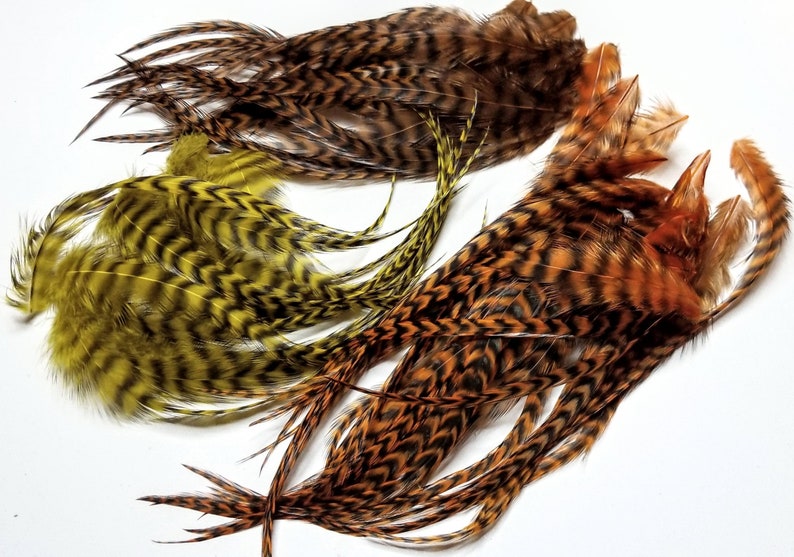 May include: A set of three pheasant tail feathers with black and brown markings. The feathers are in shades of brown, orange, and yellow.