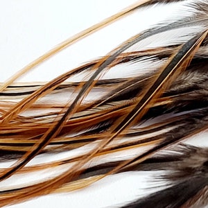 NATURAL OMBRE Feathers Plus 3 FREE Beads, Thick Wide Boho Hair Feather Extensions Natural Auburn & Black Furnace Rooster Feathers